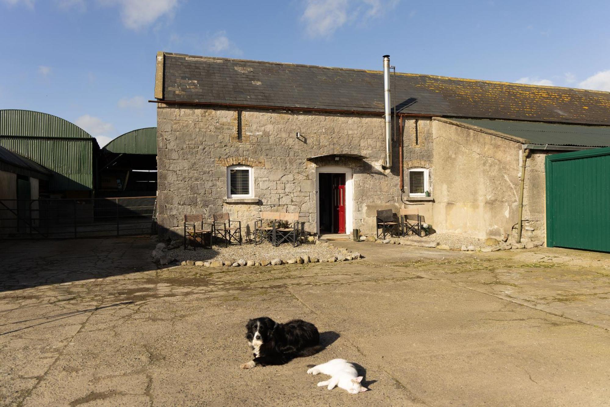 Hotel Fitz Of Inch à Stradbally  Extérieur photo